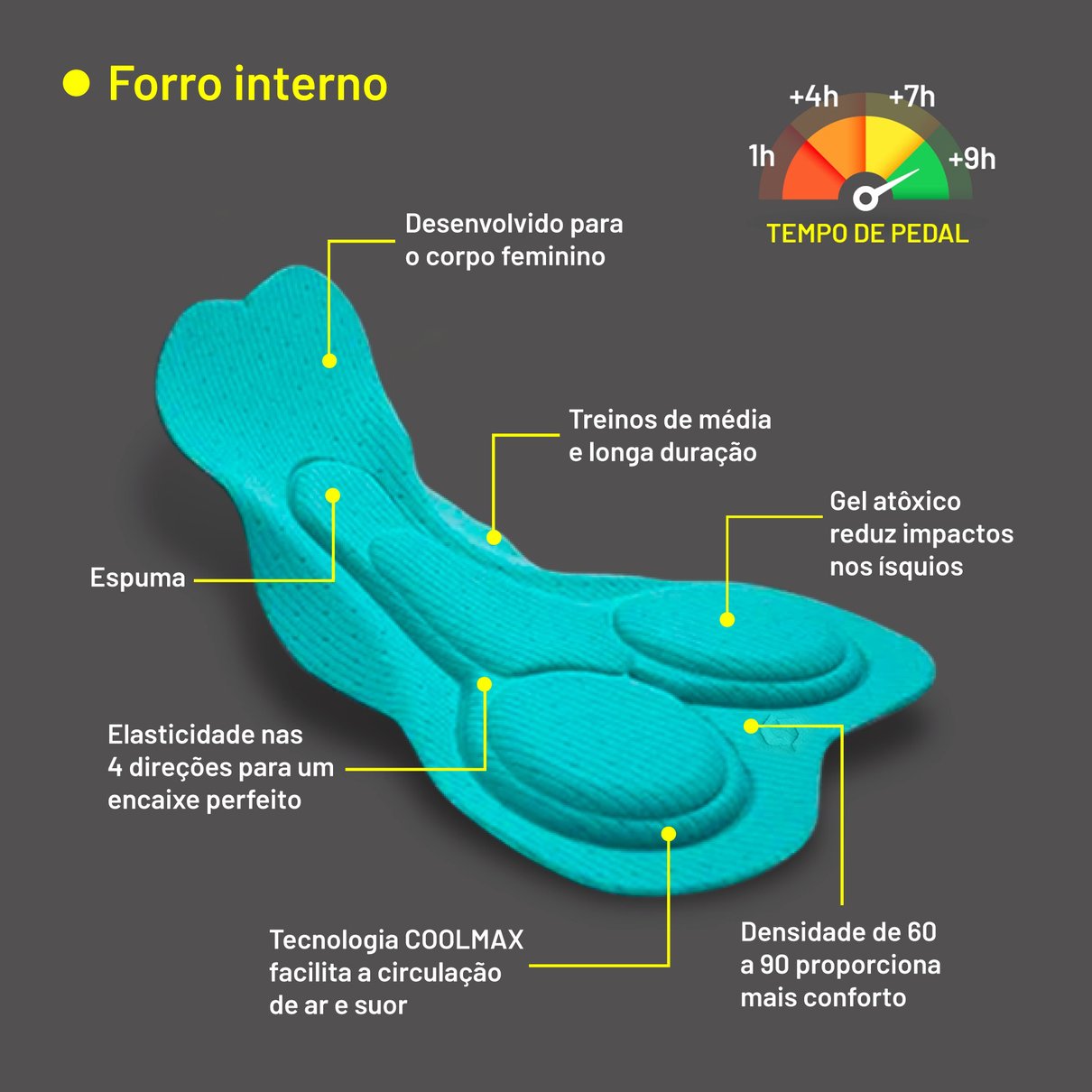 forro scott